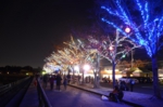 20121124-3.jpg